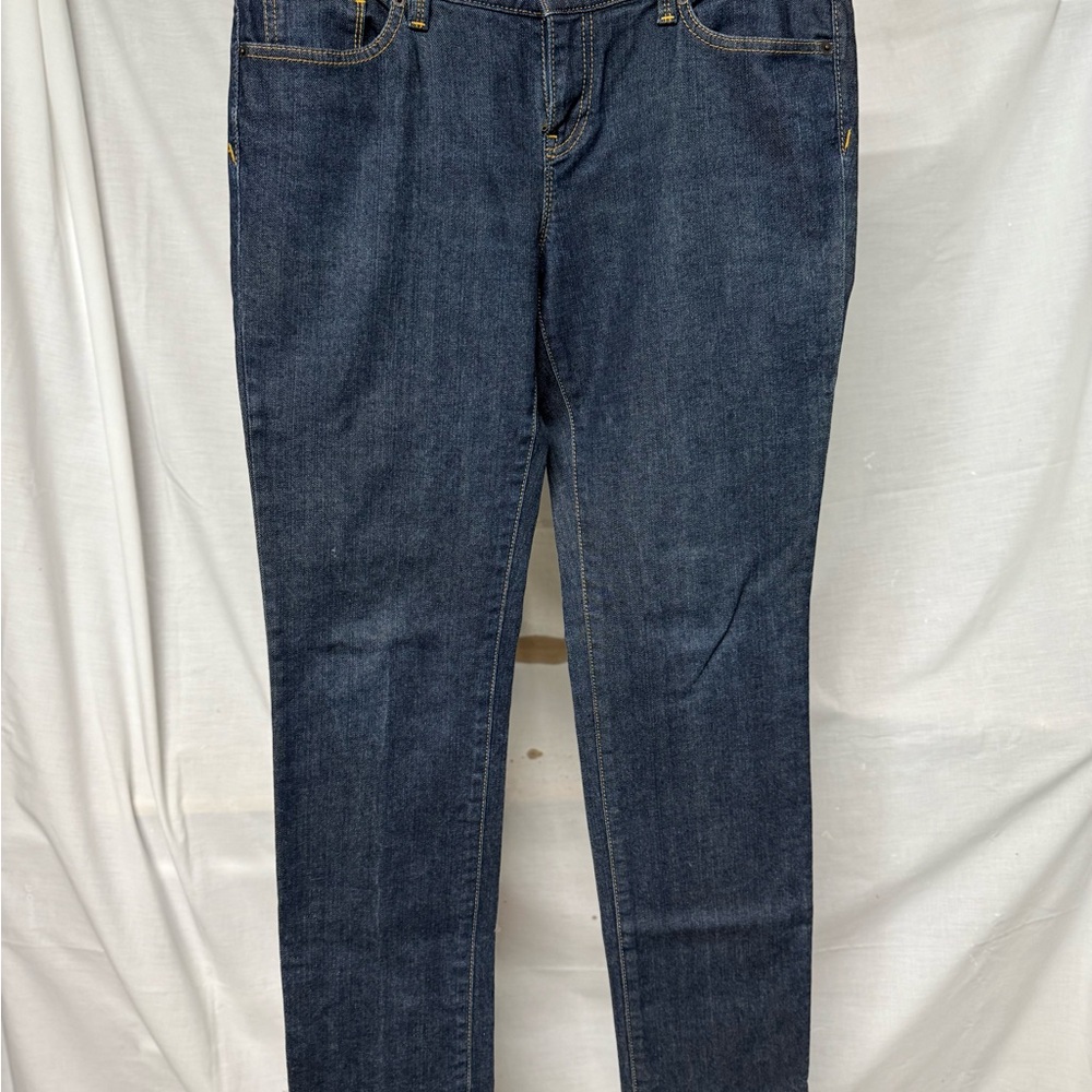 LOFT Blue Skinny Jeans with Classic Style